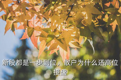 新股都是一步到位，散戶為什么還高位接盤(pán)