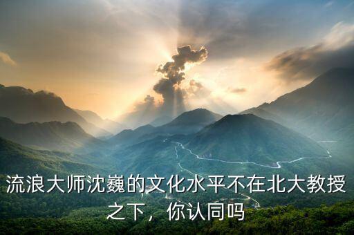 流浪大師沈巍的文化水平不在北大教授之下，你認(rèn)同嗎