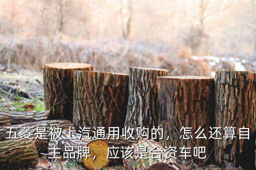 五菱是被上汽通用收購的，怎么還算自主品牌，應(yīng)該是合資車吧