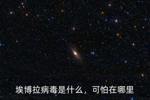 埃博拉病毒是什么，可怕在哪里