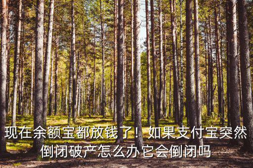 現(xiàn)在余額寶都放錢了！如果支付寶突然倒閉破產(chǎn)怎么辦它會倒閉嗎