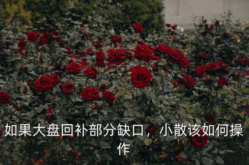 如果大盤回補(bǔ)部分缺口，小散該如何操作