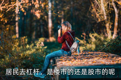居民去杠桿，是樓市的還是股市的呢