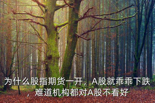 為什么股指期貨一開，A股就乖乖下跌，難道機(jī)構(gòu)都對A股不看好