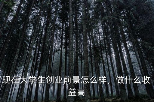 現(xiàn)在大學(xué)生創(chuàng)業(yè)前景怎么樣，做什么收益高