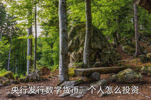 央行發(fā)行數(shù)字貨幣，個人怎么投資