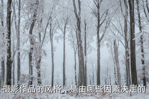 攝影作品的風(fēng)格，是由哪些因素決定的