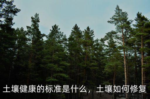 土壤健康的標(biāo)準(zhǔn)是什么，土壤如何修復(fù)