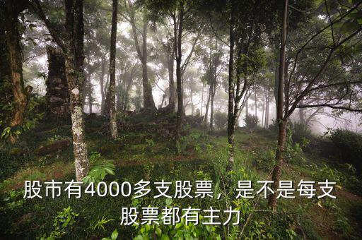 股市有4000多支股票，是不是每支股票都有主力