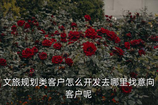 客戶(hù)怎么規(guī)劃,文旅規(guī)劃類(lèi)客戶(hù)怎么開(kāi)發(fā)