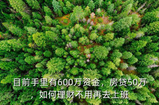 目前手里有600萬(wàn)資金，房貸50萬(wàn)，如何理財(cái)不用再去上班