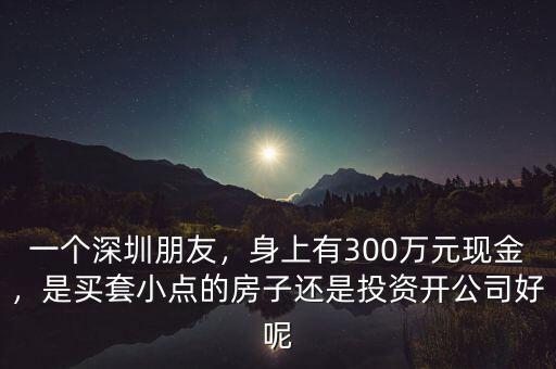 一個深圳朋友，身上有300萬元現(xiàn)金，是買套小點的房子還是投資開公司好呢