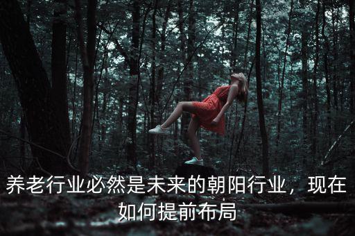 養(yǎng)老行業(yè)必然是未來的朝陽行業(yè)，現(xiàn)在如何提前布局