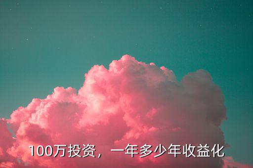 100萬投資，一年多少年收益化
