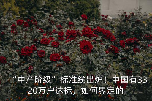 “中產(chǎn)階級(jí)”標(biāo)準(zhǔn)線(xiàn)出爐！中國(guó)有3320萬(wàn)戶(hù)達(dá)標(biāo)，如何界定的