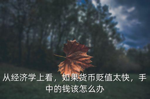從經(jīng)濟(jì)學(xué)上看，如果貨幣貶值太快，手中的錢該怎么辦