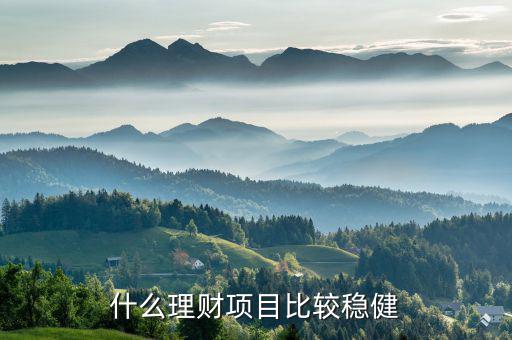 什么理財項(xiàng)目比較穩(wěn)健