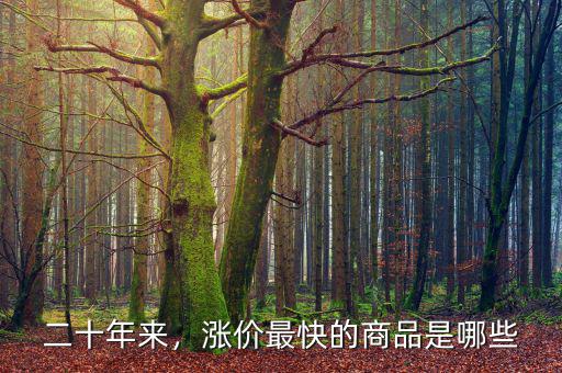 二十年來，漲價(jià)最快的商品是哪些
