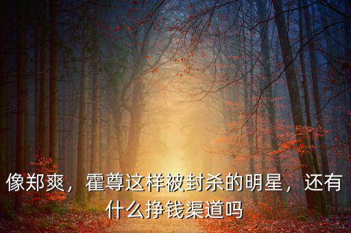 像鄭爽，霍尊這樣被封殺的明星，還有什么掙錢渠道嗎