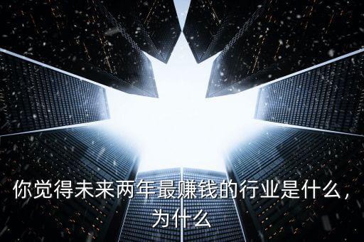 你覺得未來(lái)兩年最賺錢的行業(yè)是什么，為什么