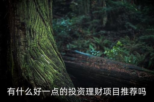 有什么好一點(diǎn)的投資理財項(xiàng)目推薦嗎
