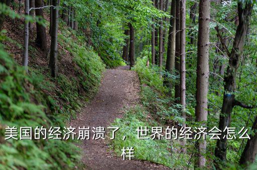 美國(guó)的經(jīng)濟(jì)崩潰了，世界的經(jīng)濟(jì)會(huì)怎么樣