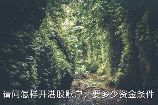 請問怎樣開港股賬戶，要多少資金條件