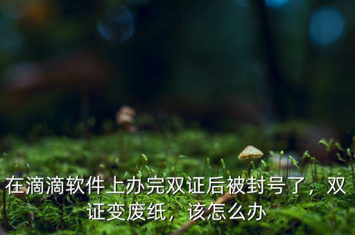 在滴滴軟件上辦完雙證后被封號(hào)了，雙證變廢紙，該怎么辦