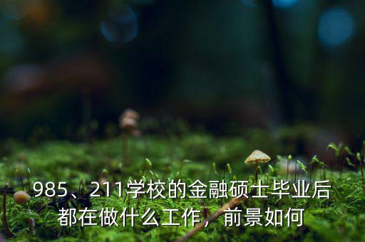 985、211學(xué)校的金融碩士畢業(yè)后都在做什么工作，前景如何