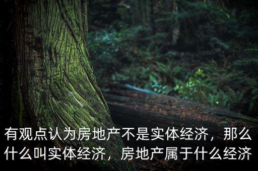 有觀點(diǎn)認(rèn)為房地產(chǎn)不是實(shí)體經(jīng)濟(jì)，那么什么叫實(shí)體經(jīng)濟(jì)，房地產(chǎn)屬于什么經(jīng)濟(jì)
