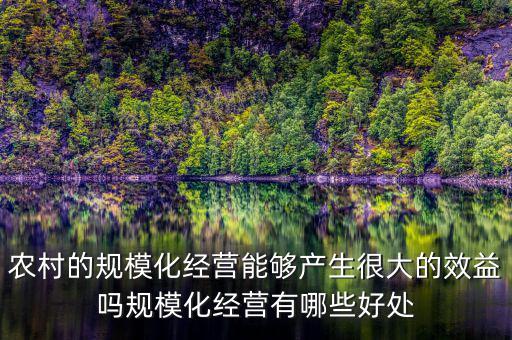 農(nóng)村的規(guī)?；?jīng)營能夠產(chǎn)生很大的效益嗎規(guī)?；?jīng)營有哪些好處