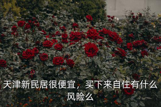 天津新民居很便宜，買(mǎi)下來(lái)自住有什么風(fēng)險(xiǎn)么