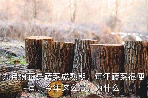 九月份正是蔬菜成熟期，每年蔬菜很便宜，今年這么貴，為什么