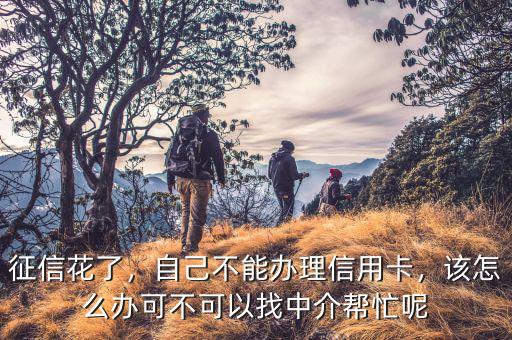 征信花了，自己不能辦理信用卡，該怎么辦可不可以找中介幫忙呢
