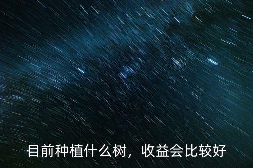 目前種植什么樹，收益會(huì)比較好