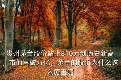 貴州茅臺股價站上810元創(chuàng)歷史新高，市值再破萬億，茅臺的股價為什么這么厲害呢
