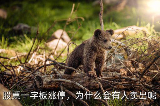 股票一字板漲停，為什么會有人賣出呢