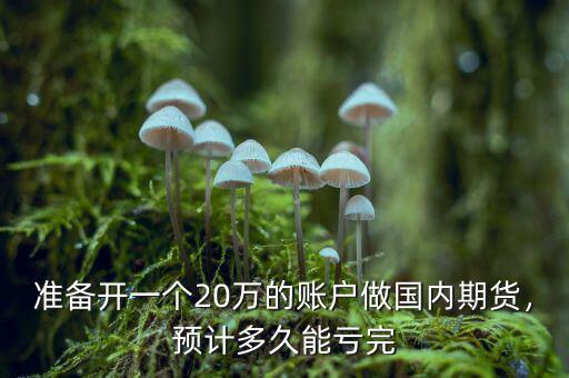 準(zhǔn)備開(kāi)一個(gè)20萬(wàn)的賬戶(hù)做國(guó)內(nèi)期貨，預(yù)計(jì)多久能虧完