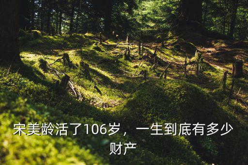 宋美齡活了106歲，一生到底有多少財(cái)產(chǎn)