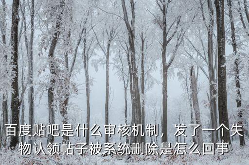 百度貼吧是什么審核機制，發(fā)了一個失物認(rèn)領(lǐng)帖子被系統(tǒng)刪除是怎么回事