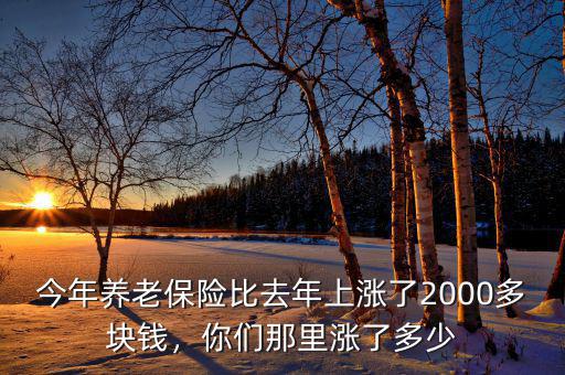 今年養(yǎng)老保險比去年上漲了2000多塊錢，你們那里漲了多少