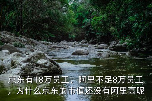 京東有18萬(wàn)員工，阿里不足8萬(wàn)員工，為什么京東的市值還沒(méi)有阿里高呢