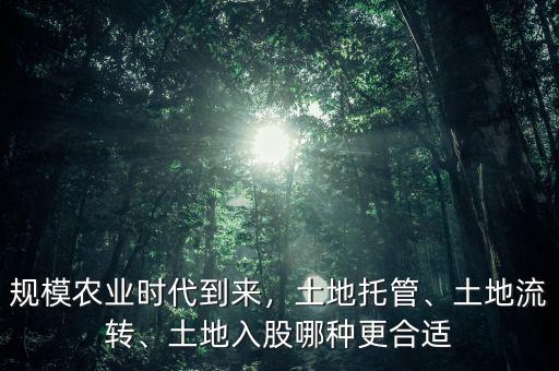 規(guī)模農(nóng)業(yè)時(shí)代到來，土地托管、土地流轉(zhuǎn)、土地入股哪種更合適