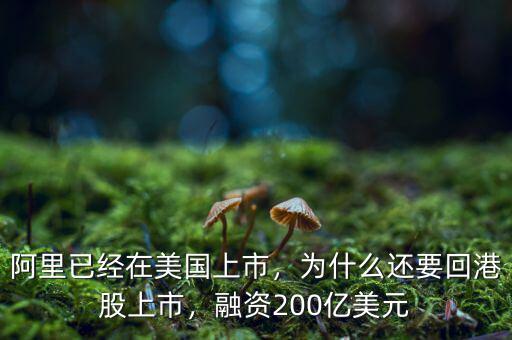 阿里已經(jīng)在美國上市，為什么還要回港股上市，融資200億美元