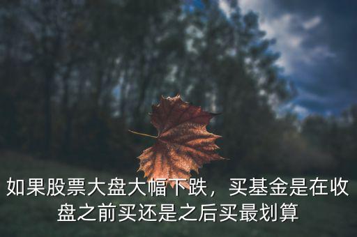 如果股票大盤大幅下跌，買基金是在收盤之前買還是之后買最劃算