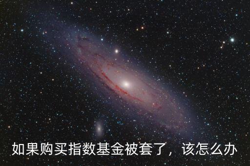 如果購買指數(shù)基金被套了，該怎么辦