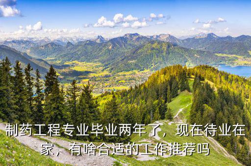 制藥工程專業(yè)畢業(yè)兩年了，現(xiàn)在待業(yè)在家，有啥合適的工作推薦嗎