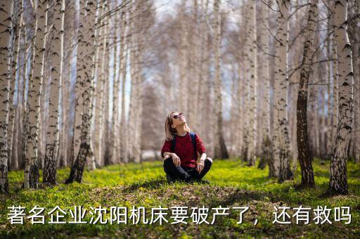 著名企業(yè)沈陽機(jī)床要破產(chǎn)了，還有救嗎