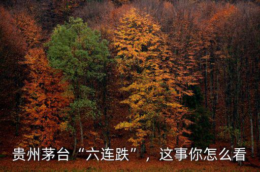 貴州茅臺“六連跌”，這事你怎么看