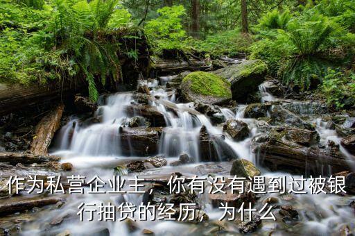 作為私營(yíng)企業(yè)主，你有沒有遇到過被銀行抽貸的經(jīng)歷，為什么